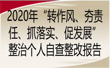 2020ꡰD(zhun)L(fng)؟(z)ץ䌍(sh)ٰl(f)չ΂ԲĈ(bo)