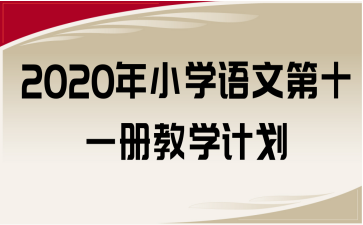 2020СW(xu)ZĵʮһԽ̌W(xu)Ӌ(j)