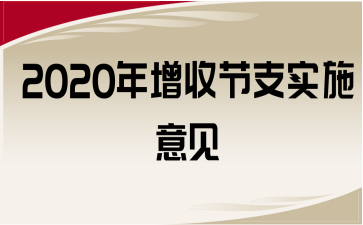 2020չ(ji)֧(sh)ʩҊ(jin)