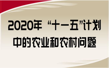 2020 ʮһ塱ӋеrI(y)r冖}