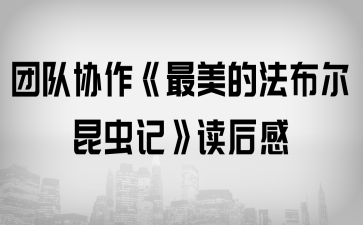 F(tun)ꠅf(xi)ķxӛx